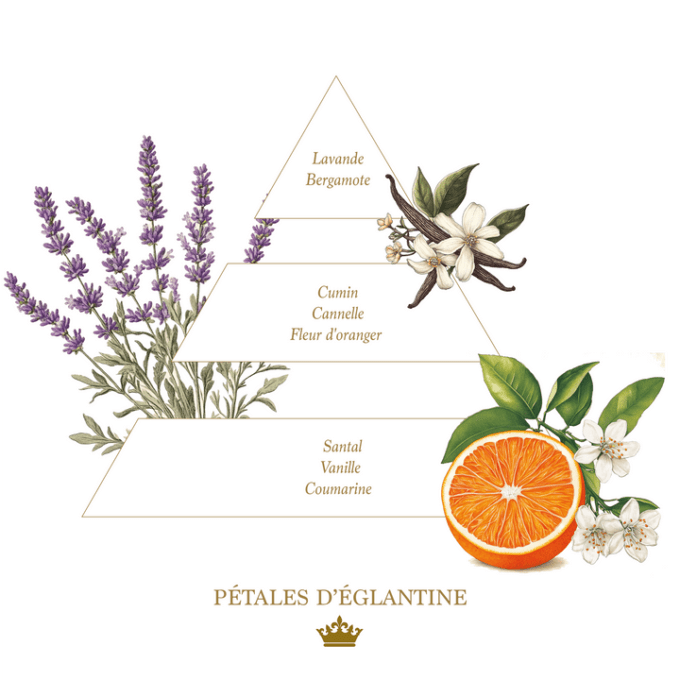 - SAVON PÉTALES D'ÉGLANTINE